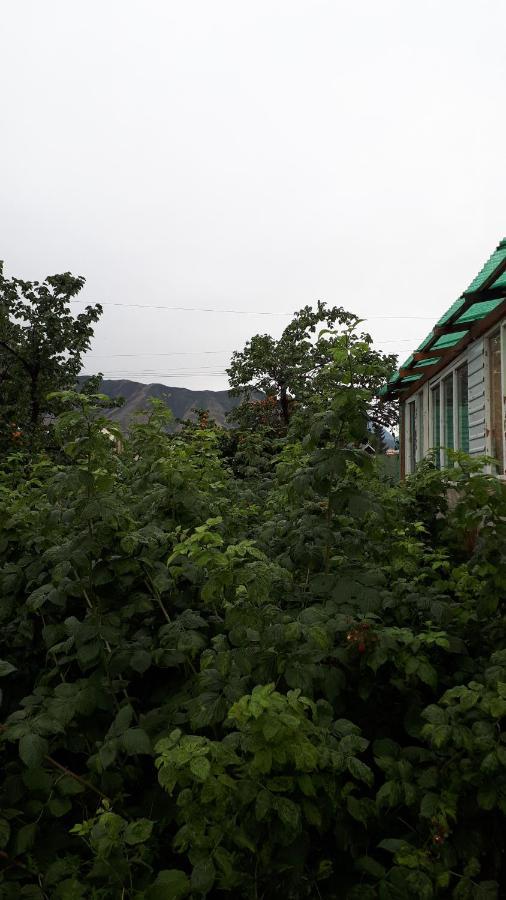 Nurgul Ξενοδοχείο Bokonbayevo Εξωτερικό φωτογραφία